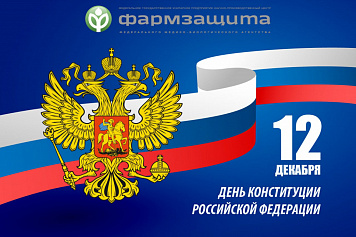 День Конституции Российской Федерации